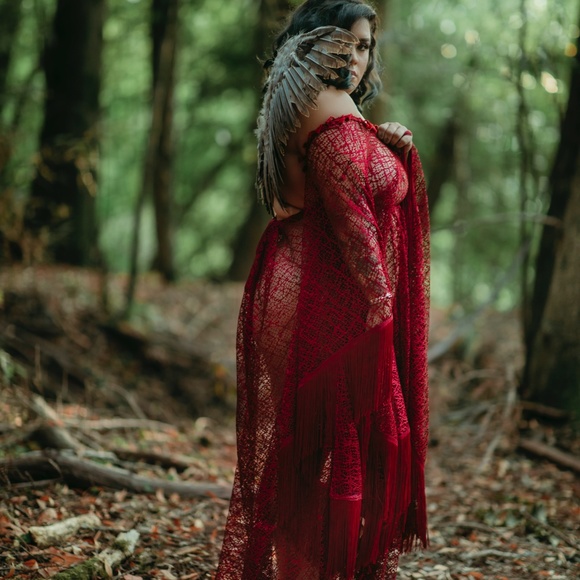 Red Lace Gown - Picture 3 of 3